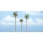 TR1617 4 1/2" - 3" - 4"  ROYAL PALM 3/PK