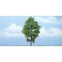 TR1623 5 3/8" PREM HICKORY 1/PK