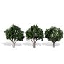 3" - 4" COOL SHADE 3/PK