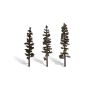 6" - 7" STANDING TIMBER 3/PK