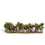 1" - 4" X 8 1/4" HEDGEROW