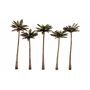 4 3/4" - 5 1/4" LG PALM TREE 5/PK