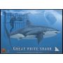 Great White Shark W/cage&diver