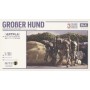 KAIYODO 1/35 GROBER HUND (VENTE FINALE)