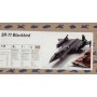 Testors 7584 1:48 SR-71 Blackbird