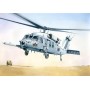 MH-60K BLACKHAWK SOA  1/48