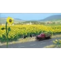 BUSCH 60 Sunflowers HO 6003 (FINAL SALE)