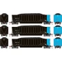 ATH1392 HO ATH Berwick Bathtub Gondola w/Load, WPSX no. 169/174/180 (3)