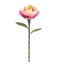 Rowood DIY Pink Camellia 3D Wooden Puzzle