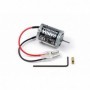 TAM54919 RC Type 370 Torque Tuned Motor