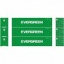 ATH27174 HO RTR 40' High-Cube Container  Evergreen (3)