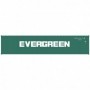 ATL20005032 HO 40' Standard Container  Evergreen Set num1(3)
