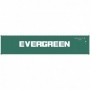 ATL20005033 HO 40' Standard Container  Evergreen Set num2 (3)