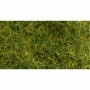 BAC31001 6mm 11in x 5.5in Static Grass  Wild Grass