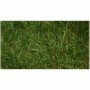 BAC31002 6mm 11in x 5.5in Static Grass  Dark Green