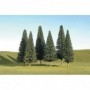 BAC32001 Scenescapes Pine Trees  5-6in (6)