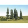 BAC32004 Scenescapes Spruce Trees  5-6in (6)