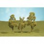 BAC32009 Scenescapes Sycamore Trees  3-4in (3)