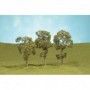 BAC32011 Scenescapes Maple Trees  3-4in (3)