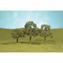 BAC32107 Scenescapes Walnut Trees  2-2.25in (4)