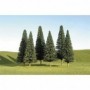 BAC32201 Scenescapes Pine Trees  8-10in (3)