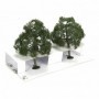 BAC32207 Scenescapes Walnut Trees  5in (2)