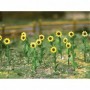 BAC32506 Sunflowers - 1in Tall (16/Pk)