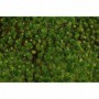 BAC32922 11.75in x 7.5in Tufted Grass Mat  Medium Green