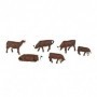 BAC33102 HO Cows  Brown & White (6)