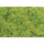 PPCPSG201 2mm/1/16in Static Grass  Spring 30g/1.06oz