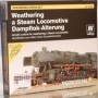 VLJ-73099 17ml Bottle Weathering Steam Locomotive Model Color Paint Set (8 Colors & 30ml Matt Varnish)