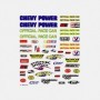 PIN317 Dry Transfer Decals  NASCAR