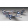 HSG-8879  1/32 P40E Texas Longhorn US Fighter