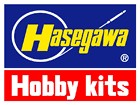 Hasegawa